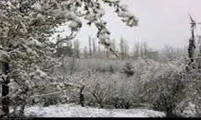 پیش‌بینی بارش برف و باران در البرز