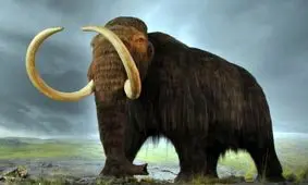 اگر یک تکه گوشت را ۳۵۰۰ سال منجمد کنیم باز هم قابل خوردن است؟