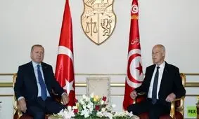 تأکید اردوغان بر لزوم آتش‌بس فوری در لیبی