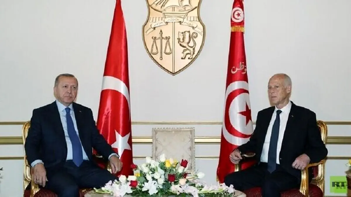 تأکید اردوغان بر لزوم آتش‌بس فوری در لیبی