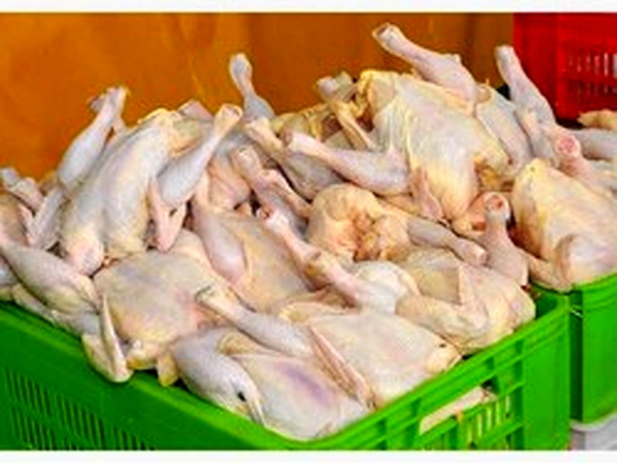 ثبات قیمت مرغ در بازار/ قیمت منطقی هر کیلو مرغ گرم ۱۴ هزار تومان