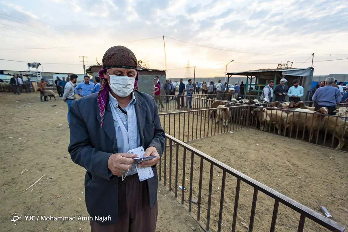 دلیل اختلاف چشمگیر قیمت گوشت از مبدا تا مقصد چیست؟ / دلال‌ها گوشت را ۴۵ هزار تومان گران کردند