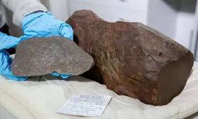 مردی که صاحب شهاب‌سنگ ۴ میلیارد ساله بود و نمی‌دانست