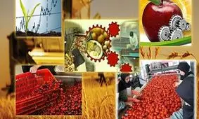 بازگشت به کار ۱۲۰ کارگر با حمایت دستگاه قضایی زنجان