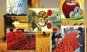 بازگشت به کار ۱۲۰ کارگر با حمایت دستگاه قضایی زنجان