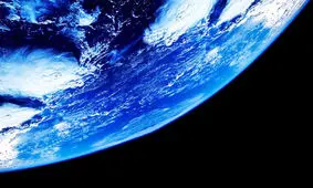 از شیر سوسک تا احیای مغز خوک؛ جالب‌ترین اخبار جهان علم در سال ۲۰۱۹