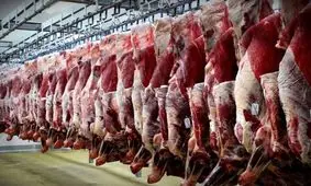 قیمت دام زنده پایین آمد، چرا گوشت قرمز ارزان نشد؟ + فیلم