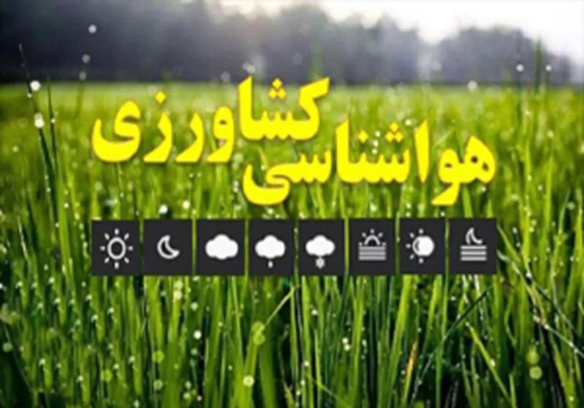 هشدار به مرغداران حاشیه شهر‌های صنعتی/کشاورزان هشدار‌های هواشناسی را جدی بگیرند