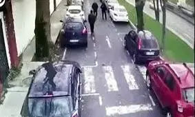 نجات معجزه‌آسا از مرگ در حادثه سقوط درخت + فیلم