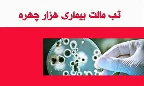ابتلای 520 نفر به تب مالت در نیشابور / آمار تب مالت رو به افزایش است