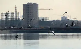 آغاز فرآیند آبگیری دریاچه شهدای خلیج فارس