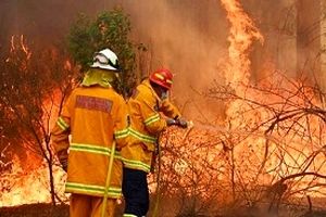 افزایش تلفات آتش‌سوزی‌های جنگلی در استرالیا