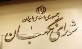 این افراد جهت بررسی صلاحیت به شورای نگهبان معرفی شدند