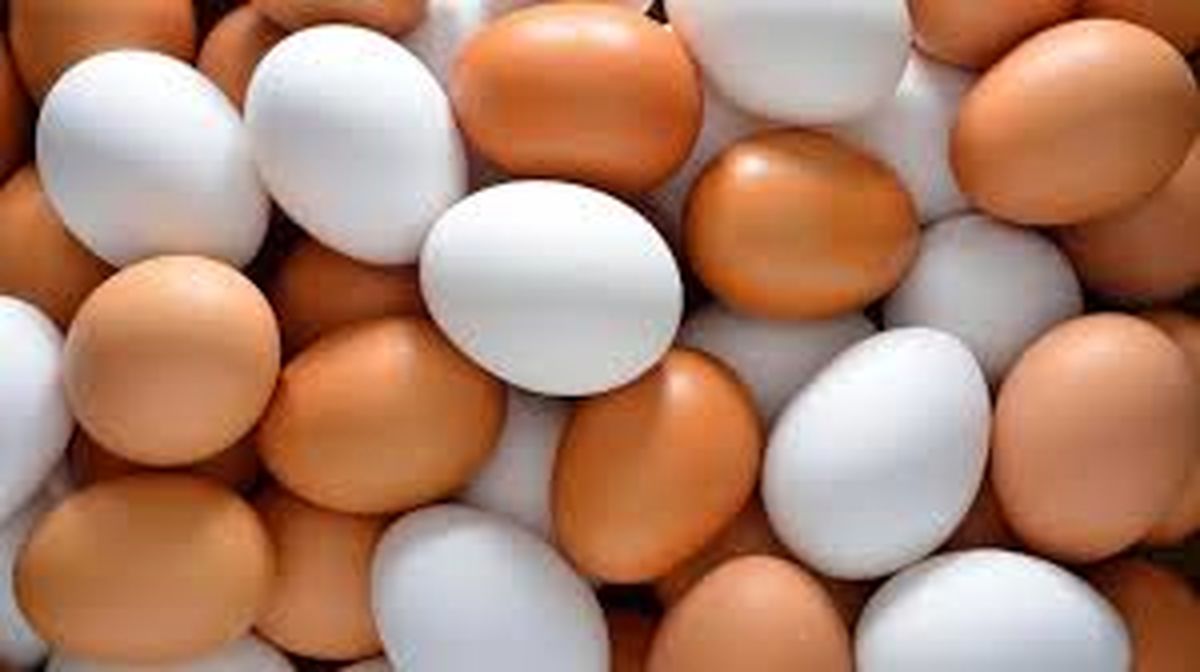 قیمت تخم مرغ در بازار چقدر تمام می شود؟