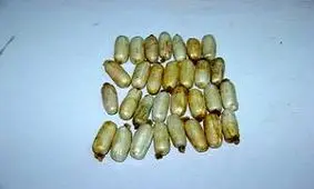 نیم کیلو هروئینی که از معده مسافر به مشهد خارج شد