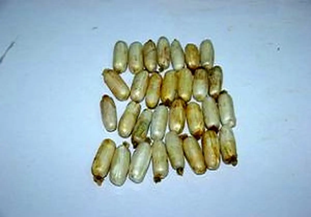 نیم کیلو هروئینی که از معده مسافر به مشهد خارج شد