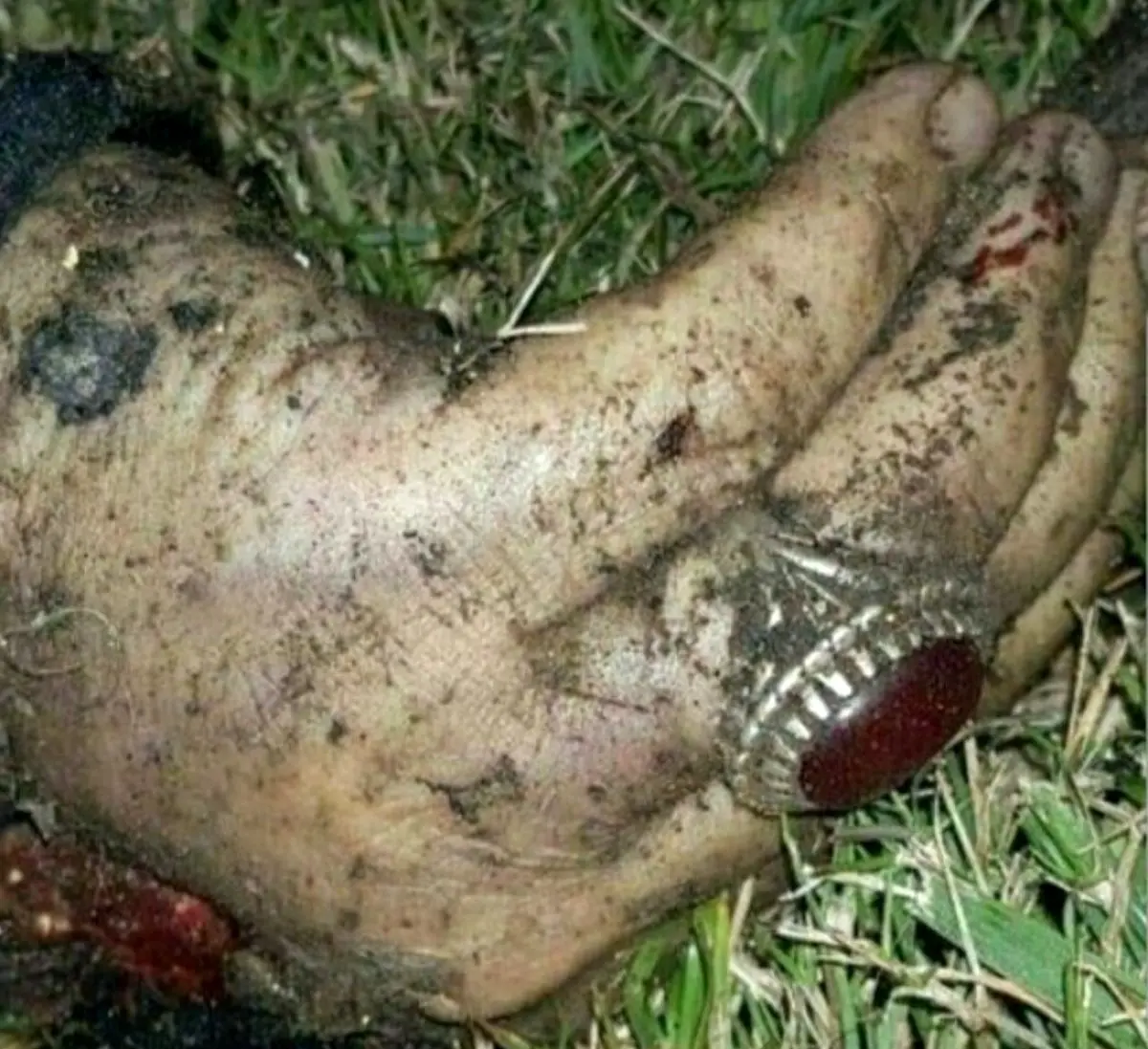 بهترین گزینه برای "انتقام سخت" چیست؟ / نظر بدهید