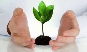 فوقش 25 درصد! / بیمه کشاورزی ضریب نفوذ قابل قبولی ندارد