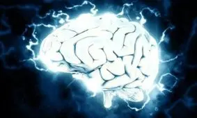 نحوه ایجاد تعادل بین درد و شادی در مغز