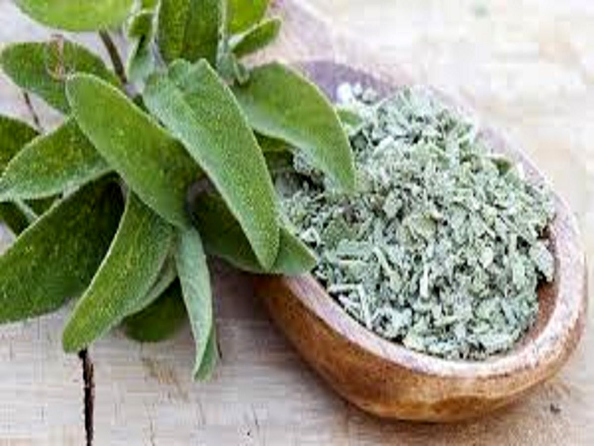 گیاهی که زایمان طبیعی را راحتتر میکند