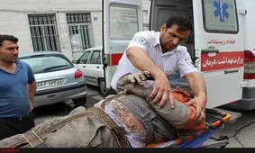 برق‌گرفتگی 3 کارگر در دلیجان