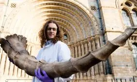 حیوانات داستانهای هری‌پاتر در موزه تاریخ طبیعی لندن نمایش داده می‌شوند