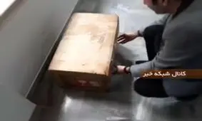 فیلمی از لحظه باز شدن جعبه سیاه هواپیمای اوکراینی