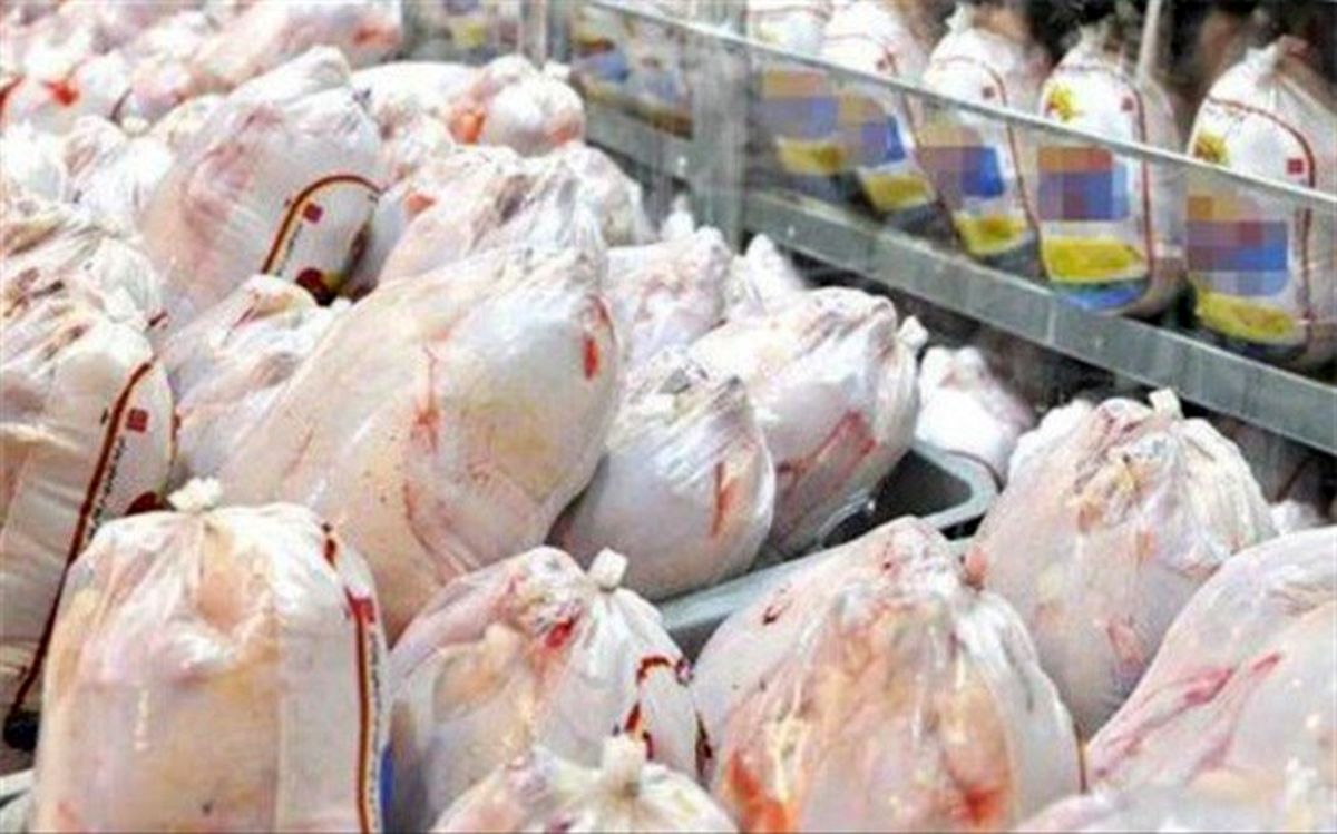 سقوط ۴۰۰ تومانی قیمت مرغ در بازار/ فروش هر کیلو مرغ بالای ۱۲ هزار تومان غیرقانونی است