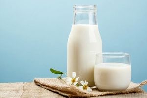 تخریب برندهای لبنی ایران در بازار صادراتی/ بازگشت ۳ تا ۵ هزار تن شیر به کارخانه‌های لبنی در یک روز