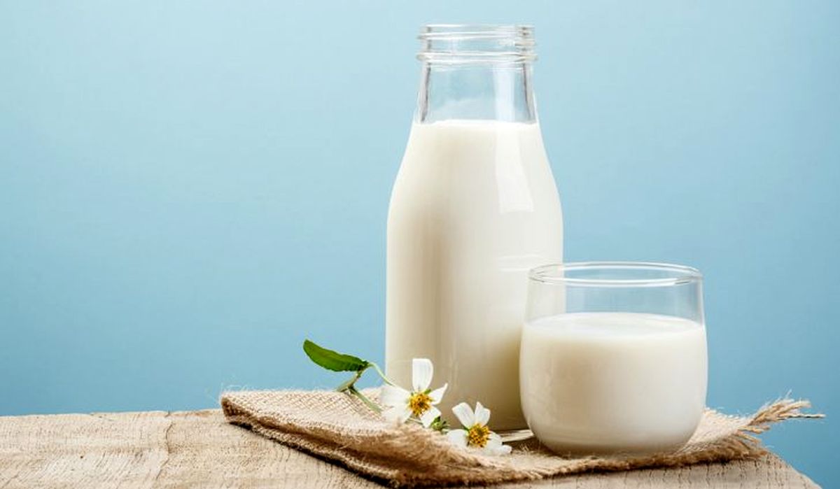 تخریب برندهای لبنی ایران در بازار صادراتی/ بازگشت ۳ تا ۵ هزار تن شیر به کارخانه‌های لبنی در یک روز