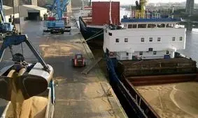 ورود مجدد محموله ذرت‌های آلوده به ایران / بندر چابهار حالا مبدا ورود است