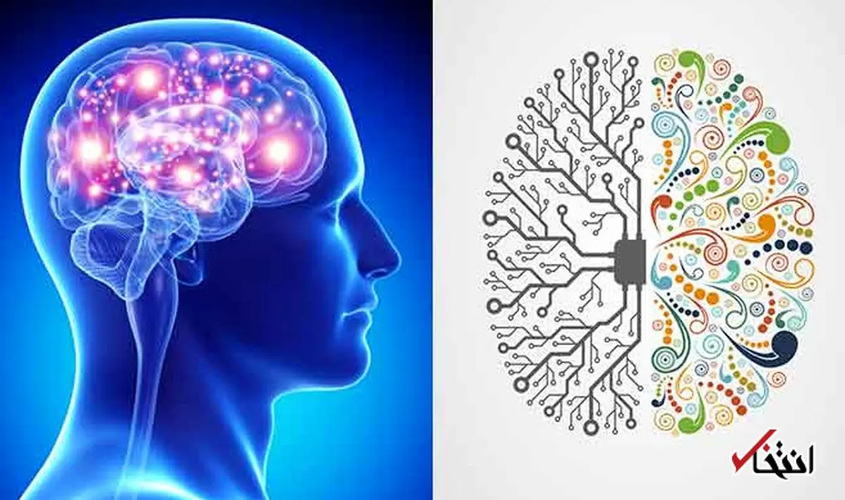 با این روش‌ها قدرت مغز خود را افزایش دهید