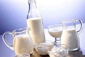 شیر در دام آفلاتوکسین / سم مشهور چطور از شیر سردرآورد؟