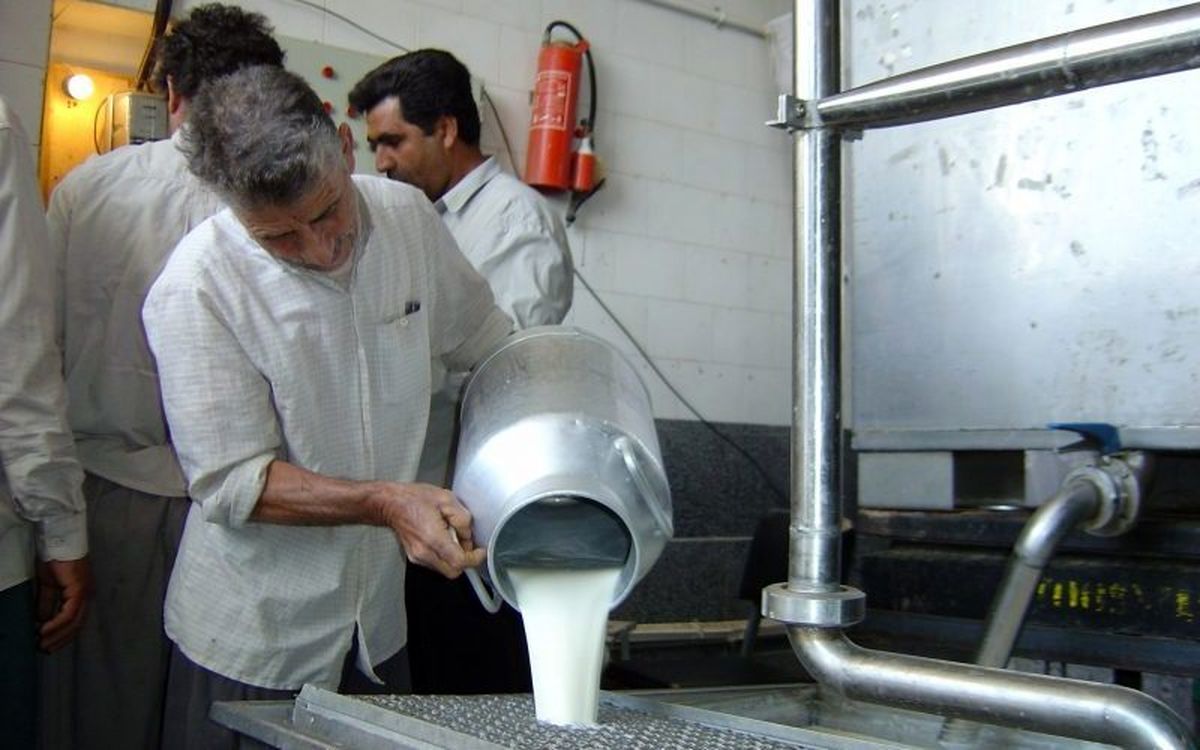 آفلاتوکسین شیرهای سنتی کنترل نمیشود