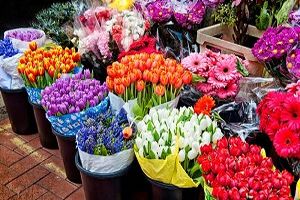 نرخ انواع گل برای روز مادر / ایرانی‌ها سالی ۱۲ شاخه گل می‌خرند