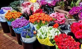 نرخ انواع گل برای روز مادر / ایرانی‌ها سالی ۱۲ شاخه گل می‌خرند
