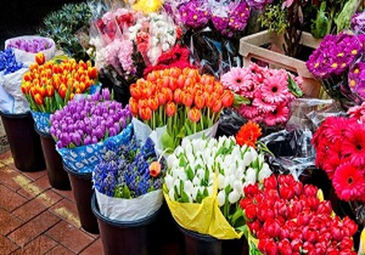 نرخ انواع گل برای روز مادر / ایرانیها سالی ۱۲ شاخه گل میخرند