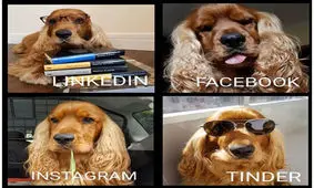 چالش جدید اینستاگرام: عکس موزاییکی از نحوه فعالیت‌تان در شبکه‌های اجتماعی