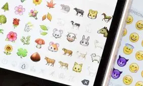 قرار دادن ایموجی در پلاک خودروهای ایالات متحده مجاز شد 