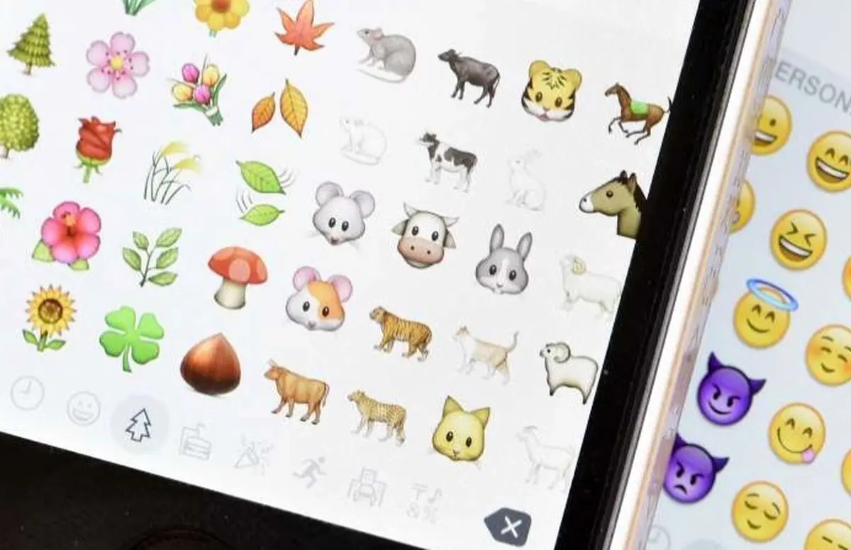 قرار دادن ایموجی در پلاک خودروهای ایالات متحده مجاز شد 