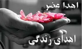 نجات جان 6 بیمار با اهدای عضو جوان مرگ مغزی در مشهد