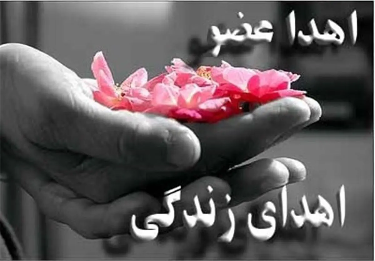 نجات جان 6 بیمار با اهدای عضو جوان مرگ مغزی در مشهد