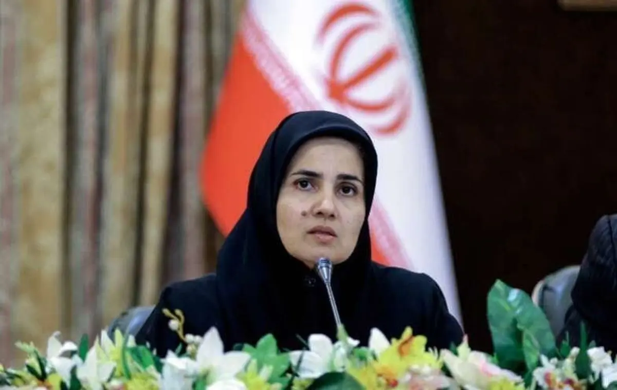 نظام قانونگذاری کشور یک ملقمه است