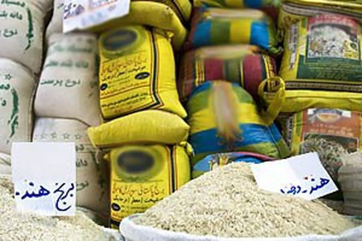 ارز تخصیص نگیرد، برنج‌های وارداتی را مرجوع یا صادر می‌کنیم