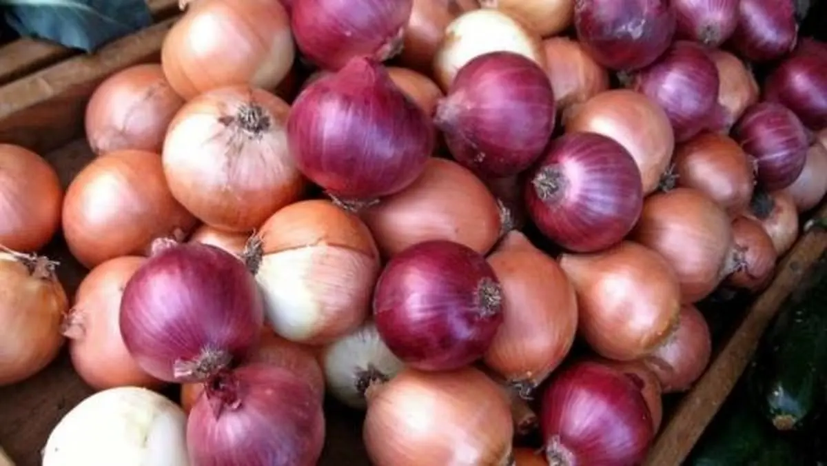 گوجه‌فرنگی و پیاز؛ دارای بیش‌ترین کاهش و افزایش قیمت + جدول قیمتها