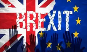 جدال لفظی معاون پارلمان اروپا با رهبر حزب برگزیت / فیلم