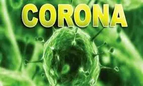 منشا و علائم ویروس کرونا چیست؟ / اینفوگرافی