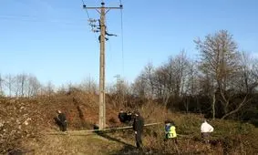 برق‌گرفتگی سارق سیم برق