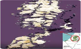 کشور پنیر لیقوانی! / نقشه «معامله قرن» در زیر ذره‌بین از فاجعه‌ای بزرگ خبر می‌دهد