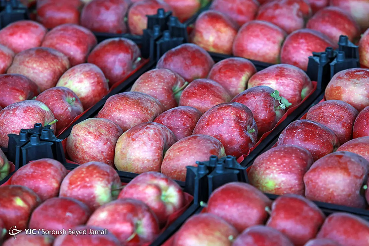 نحوه عرضه میوه شب عید امسال اعلام شد / پای میوه‌های لوکس به هفت سین ۹۹ باز می‌شود!